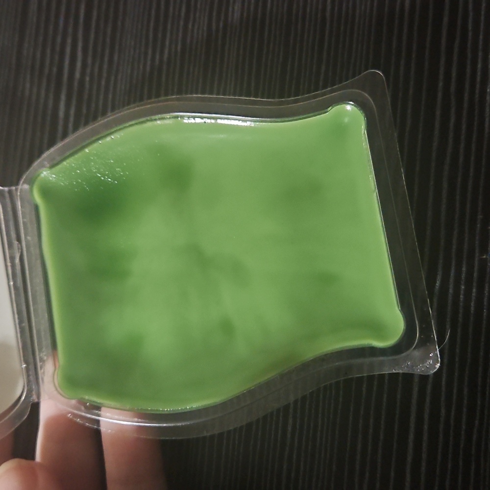 Sea Salt And Avocado scentsy wax bar - Picture 2 of 3